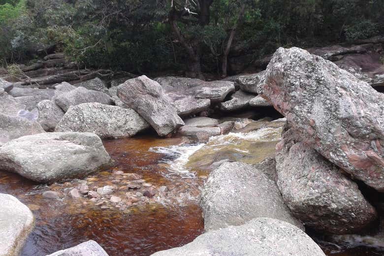 Imagen 3
