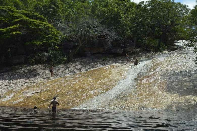 Imagen 6