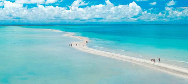 Escursione a Maragogi