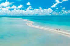Maragogi Day Trip