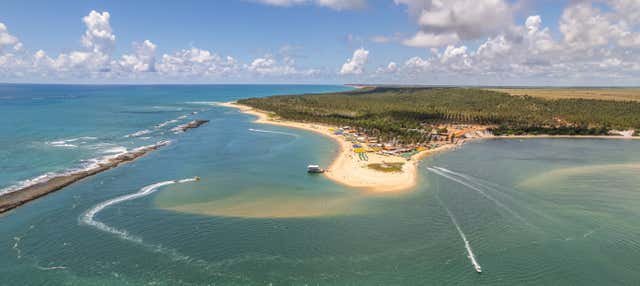 Excursión a la playa de Gunga en autobús