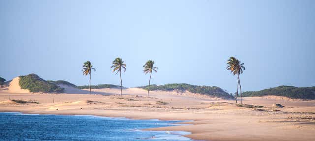 Escursione alla foce del fiume San Francisco