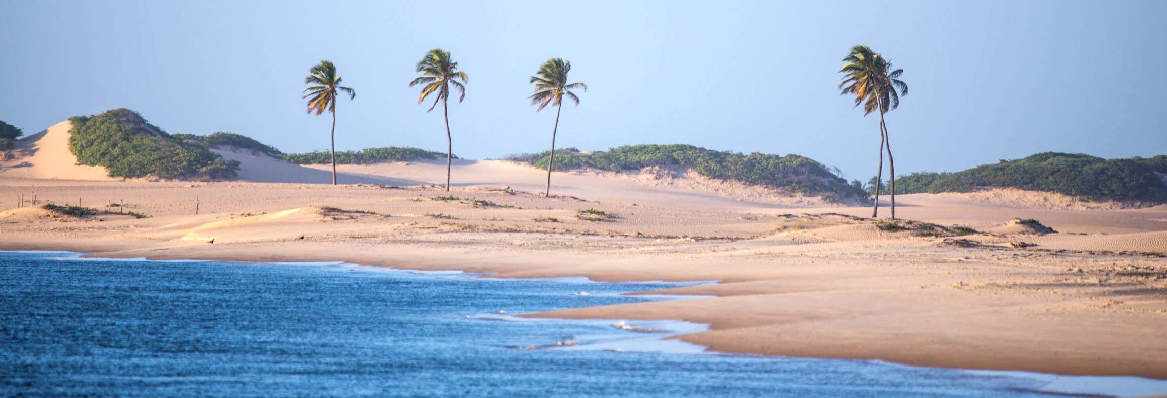 Escursione alla foce del fiume San Francisco