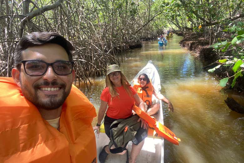 Imagen 8