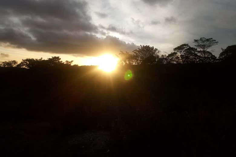 Imagen 9