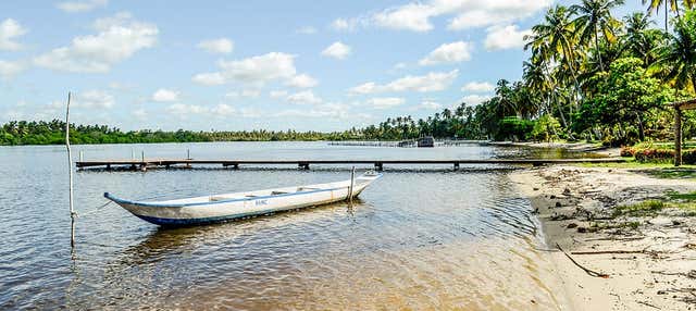 Tour di Pontal da Barra + Laghi Mundaú e Manguaba