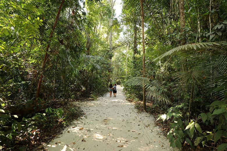 Museu da Amazônia Tour