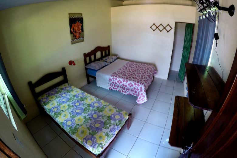 Imagen 8