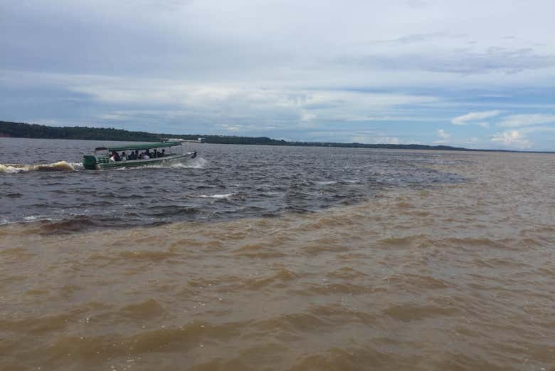 Imagen 6