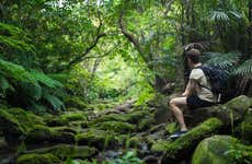 Amazon Jungle Three Day Tour