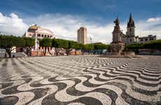 Manaus Tour