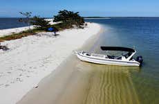 Marambaia Island Dolphin Watching