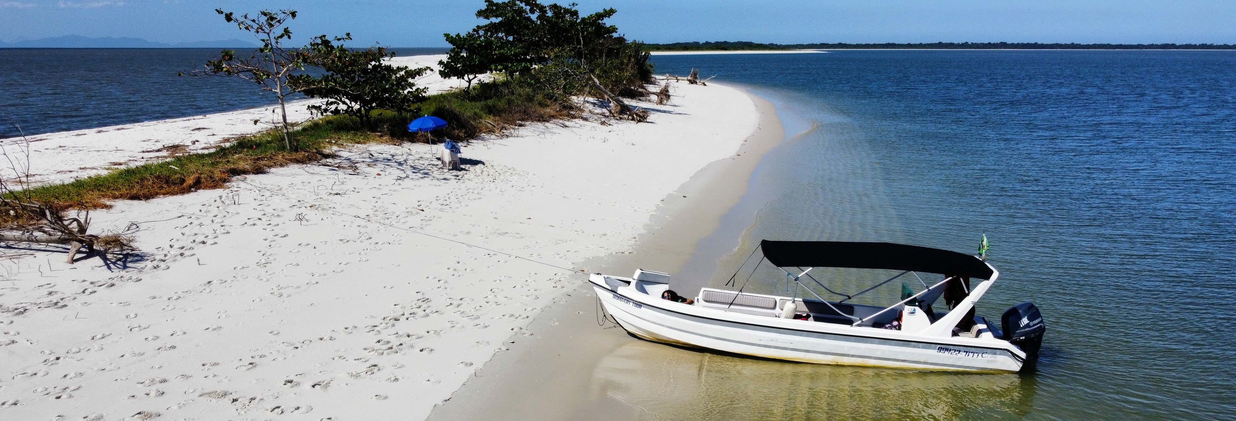 Marambaia Island Dolphin Watching