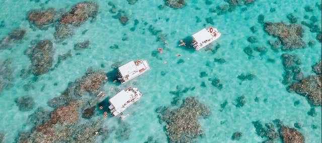 Giro in barca con snorkeling alla barriera corallina di Maracajaú