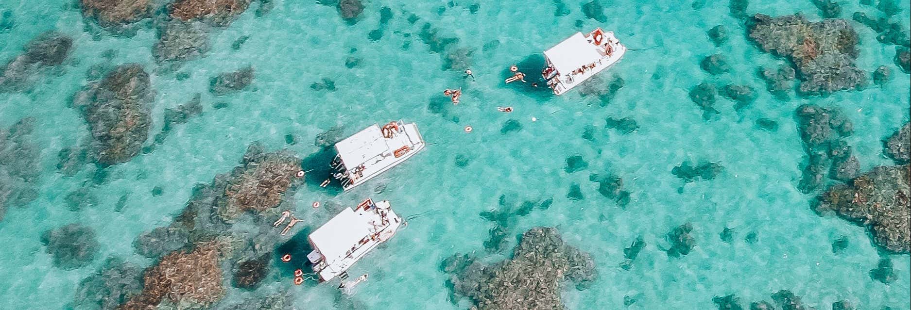 Boat Tour & Snorkelling at Maracajaú Reef