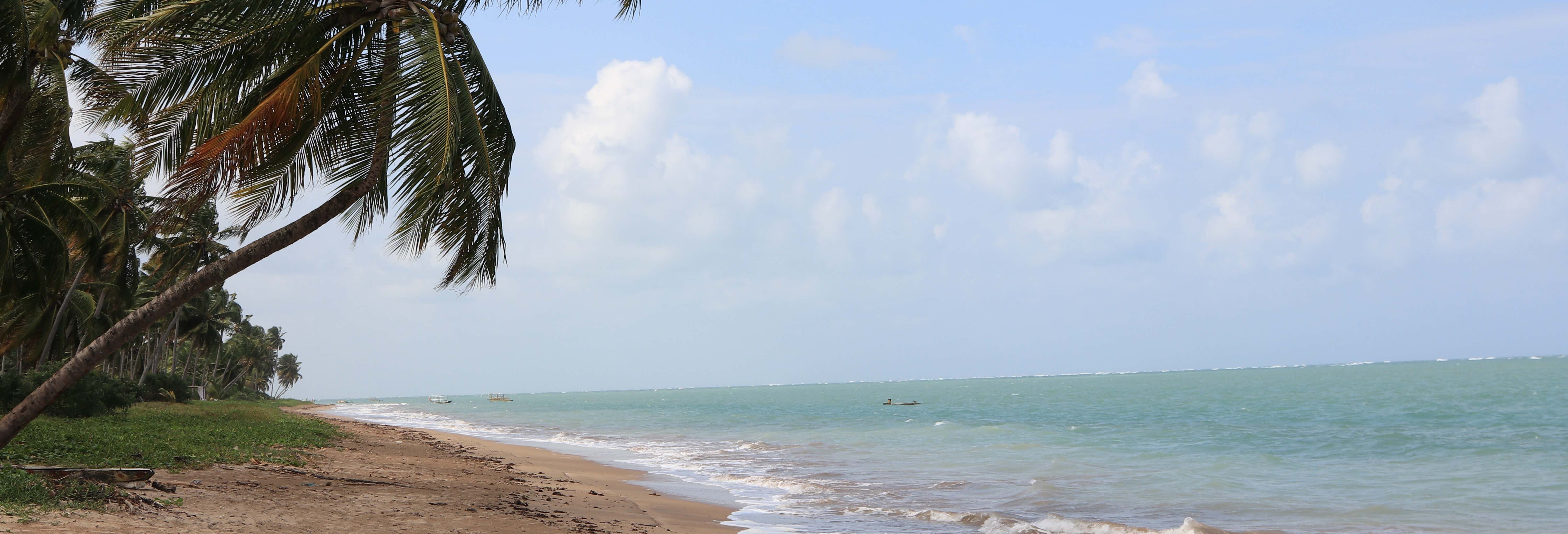 Carneiros Beach Tour