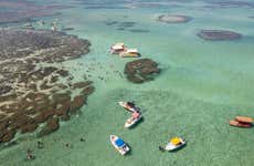 Maragogi Natural Pools Boat Tour