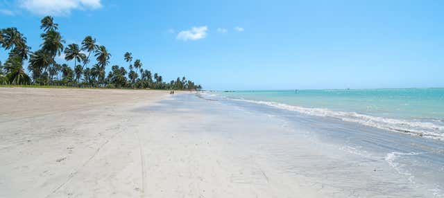 Tour di Maragogi e São Miguel dos Milagres in buggy