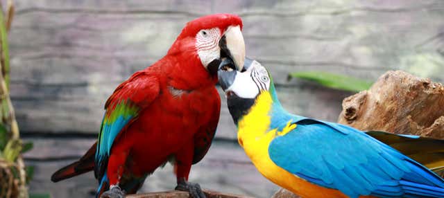 Visita guidata dell'Ecopark