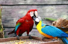 Maragogi Eco Park Tour