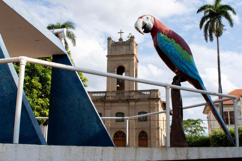 Imagen 2
