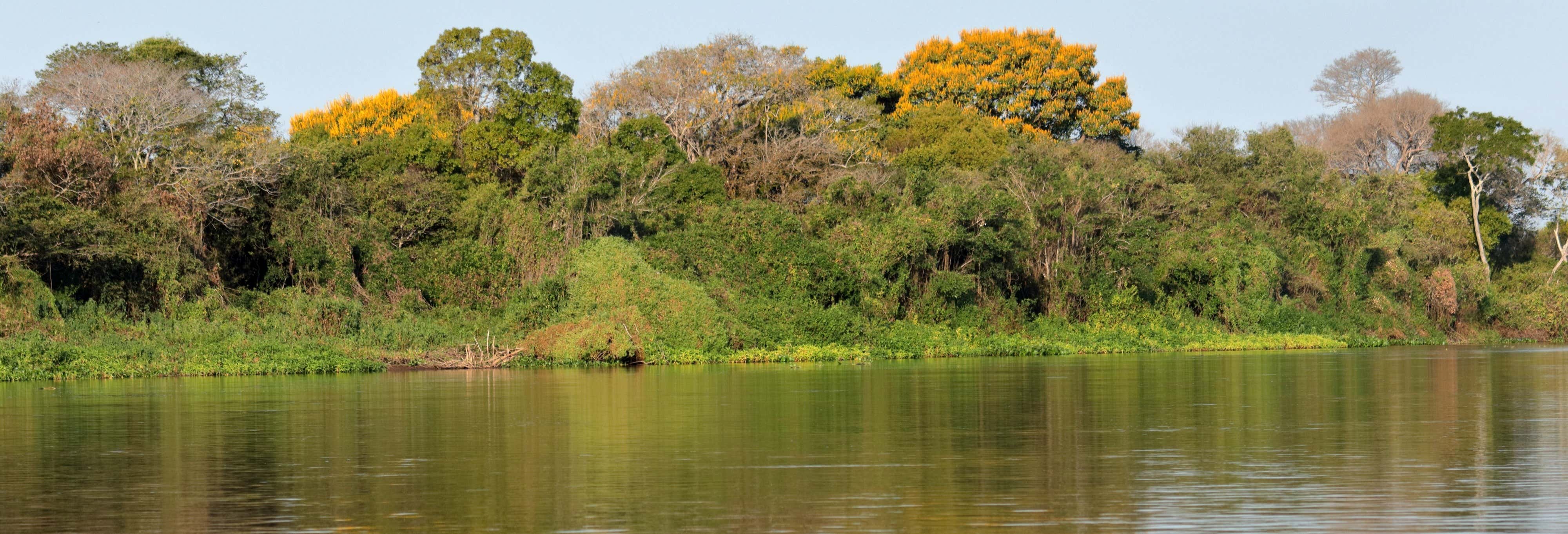 Miranda Boat Trip