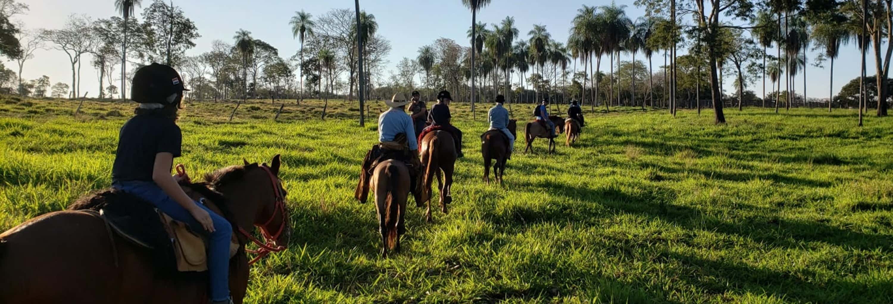 Agachi River Horseback Ride