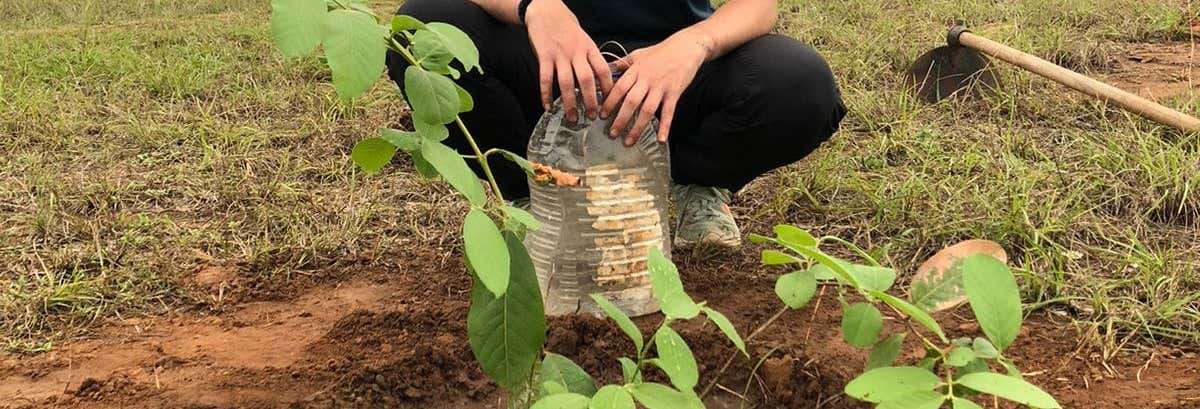 Piantare un albero nel Bosque dos Visitantes