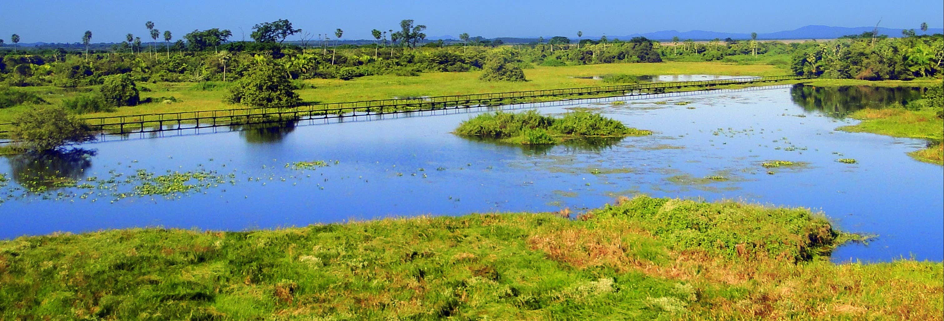 Pantanal Safari