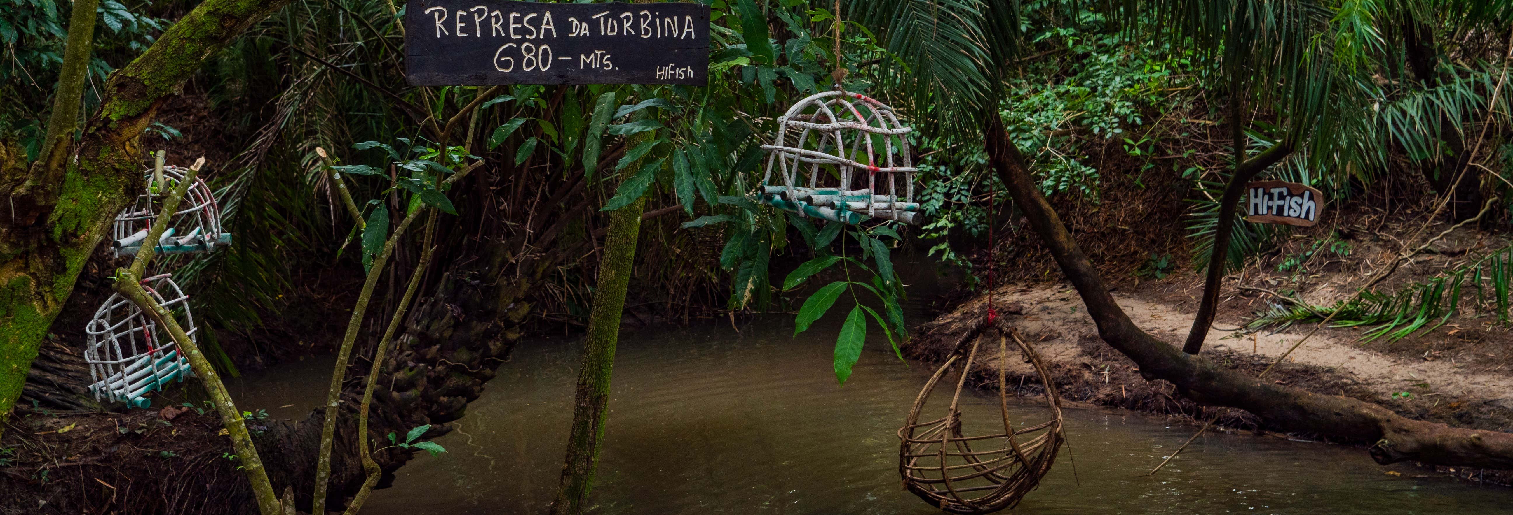 Pantanal Hiking Tour