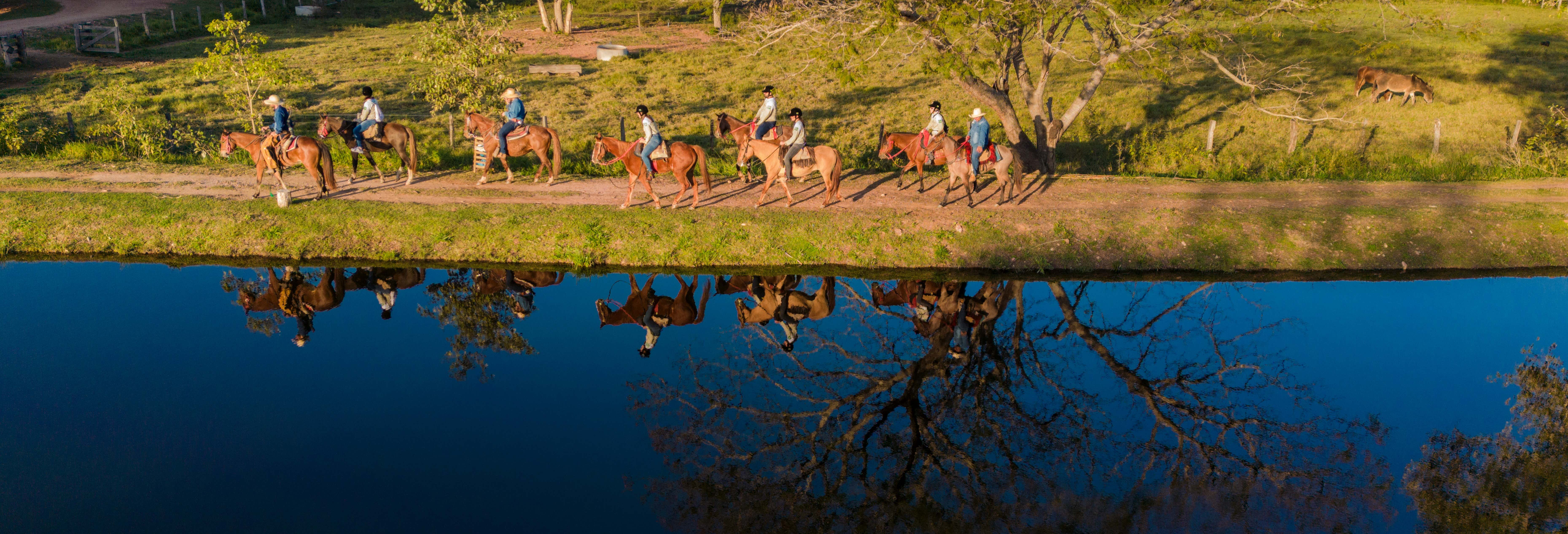 Pantanal 3-Day Tour