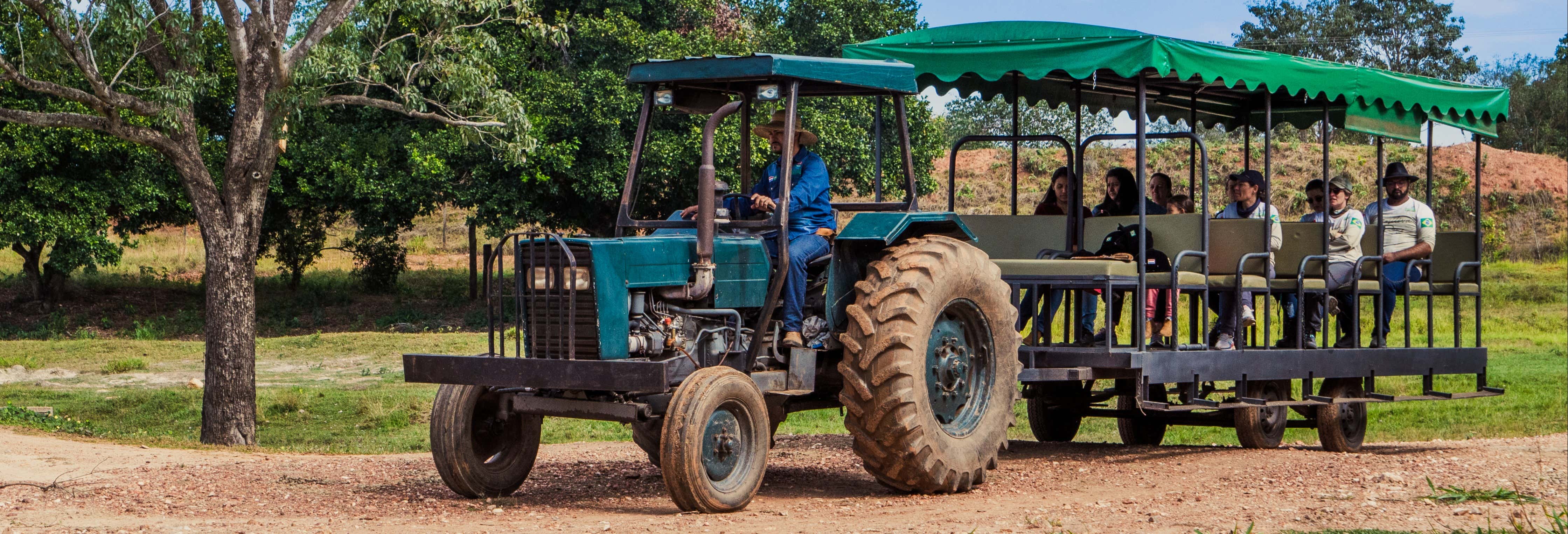 Pantanal Experiência Farm Tour + Agachi Museum