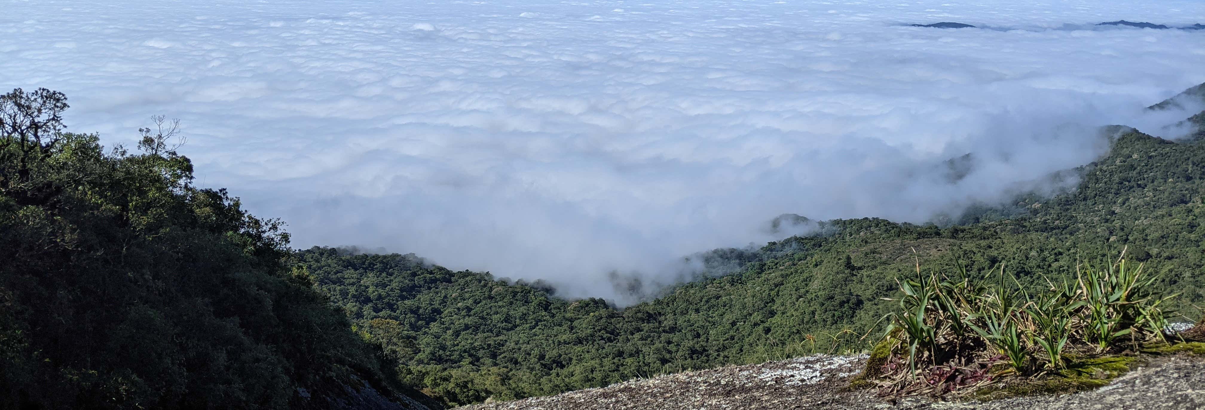 Pedra Redonda Hiking Tour