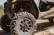 Monte Verde Buggy Tour