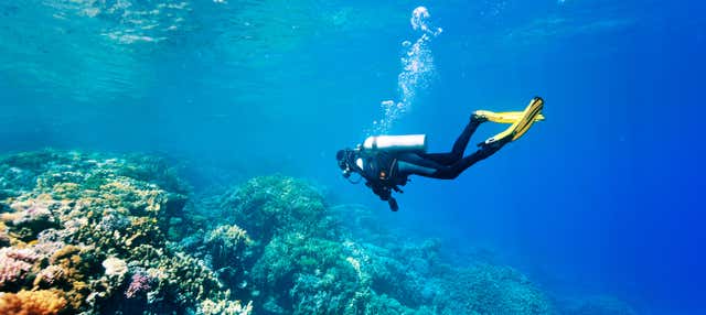 Immersione per principianti a Morro de São Paulo