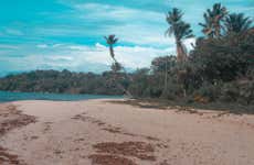 Boipeba: Moreré, Bainema, & Cueira Beaches Day Trip