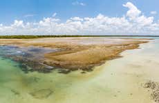 Garapua Beach Trip