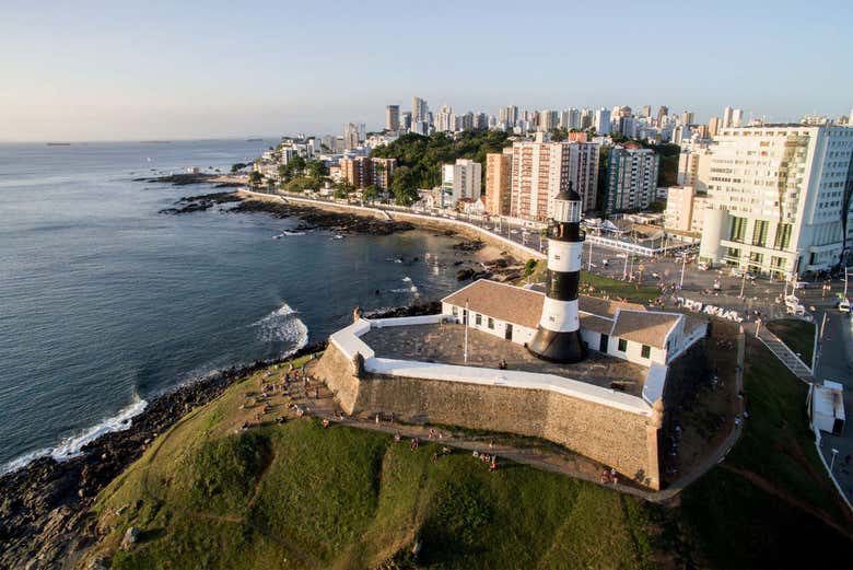 Imagen 8