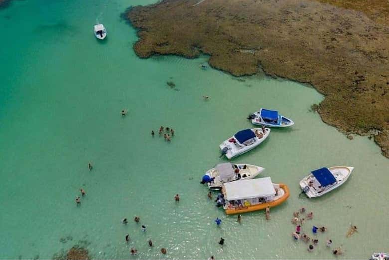 Imagen 7