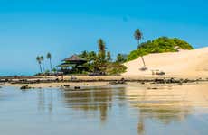 Genipabu Day Trip