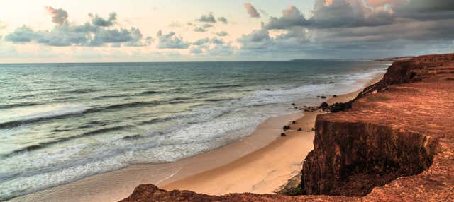 Escursione alle spiagge di Pipa