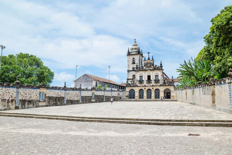 Imagen 5