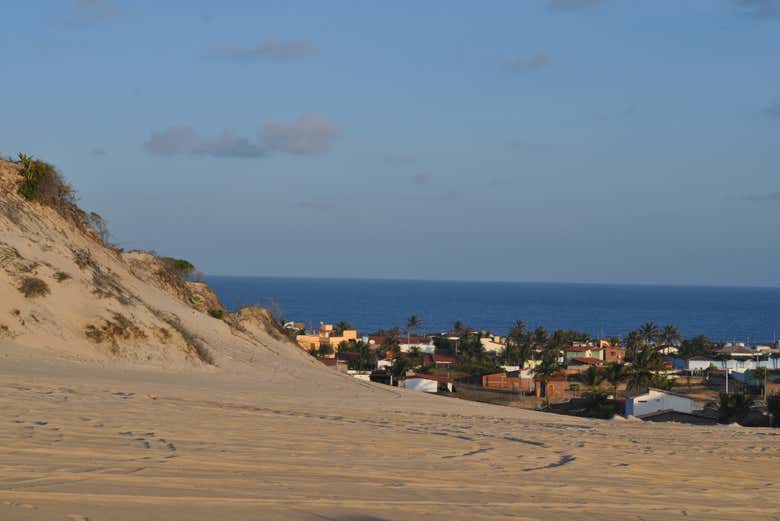 Imagen 8