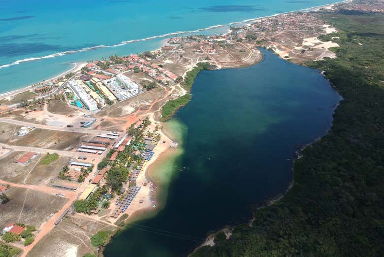 Imagen 7