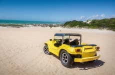Natal Buggy Ride
