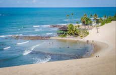 Maracajaú + Snorkeling on the Reefs Day Trip