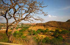Bananal Island & Cantao Park 3 or 5-Day Trip