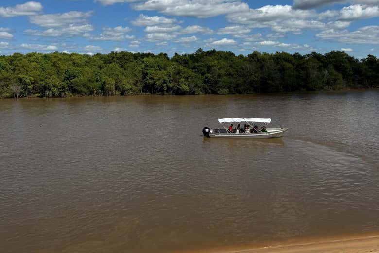 Imagen 8