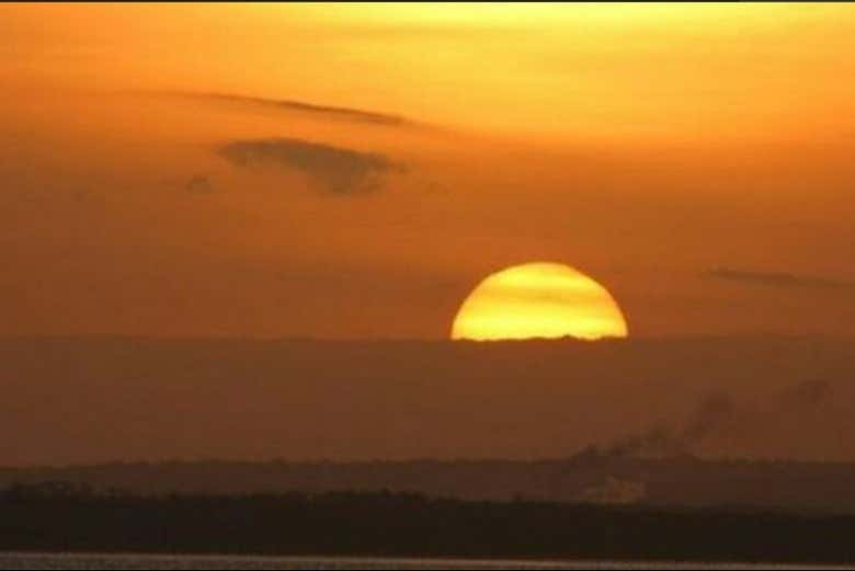 Imagen 7