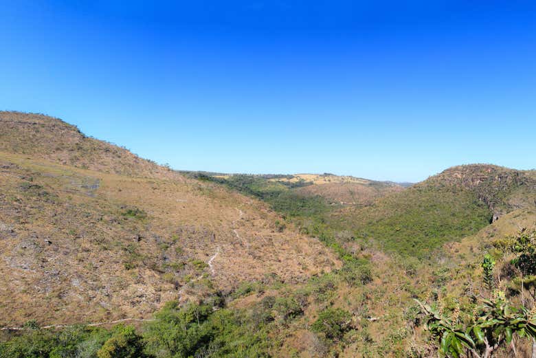 Imagen 5